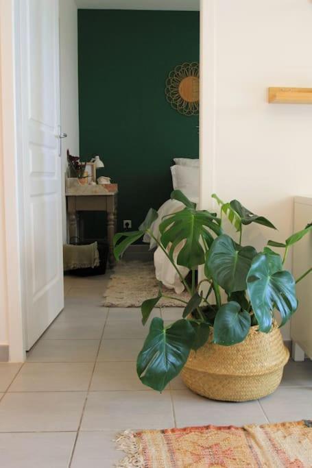 Cosy Appartement Entre Vignes Et Garrigue Avec Piscine Péret Exteriör bild